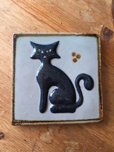 Tonala black cat - cat, mexican