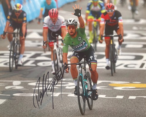 Peter sagan signed 10x8 - sagan,