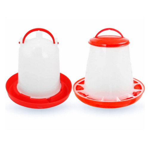 Chicken poultry feeder - chicken,