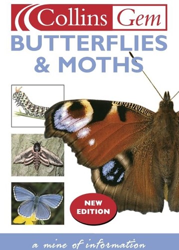 Butterflies by - butterflies, gem)