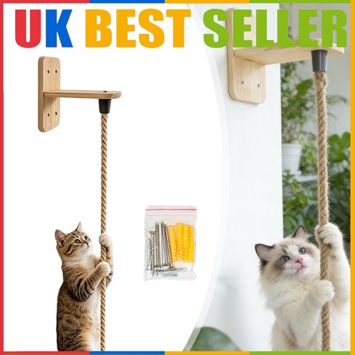 Cat climbing rope - cat,