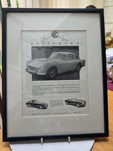 Greyhound original - greyhound,