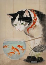 Featuring Cat And Goldfish