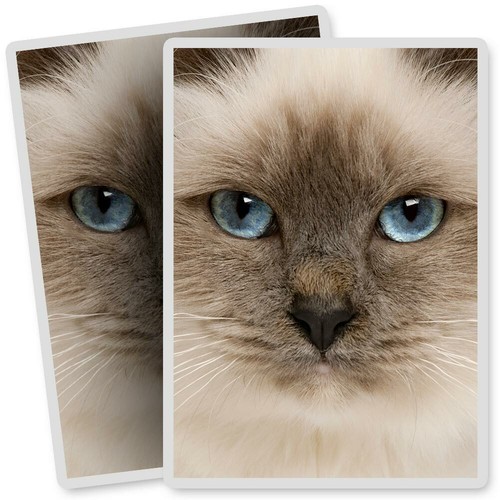 Vinyl stickers 7x10cm - x,