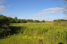Photo 6x4 Nature Reserve next to Tesco The overgrown nature reserve next  c2010