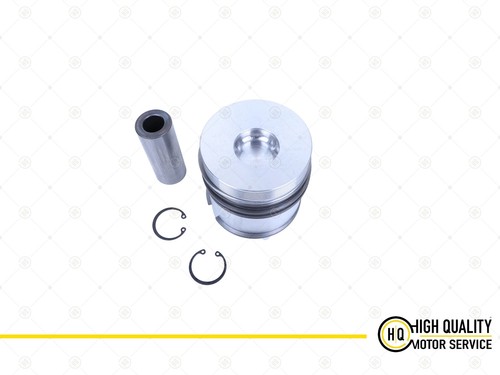 Piston with ring - with, for