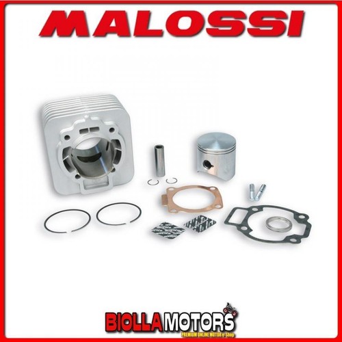 318236 malossi 172cc cylinder - 172cc,