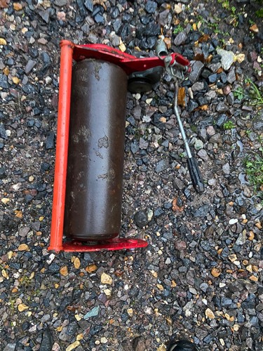 Mountfield empress older - 18,