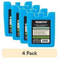 4 pack Small Igloo Reusable