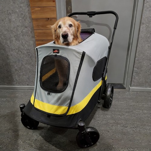 Large dog stroller - dog, pet