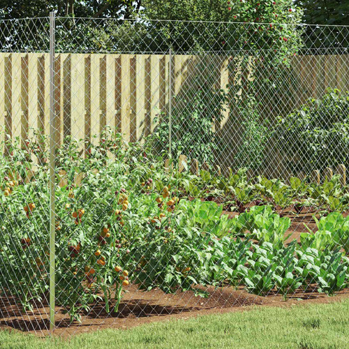 Chain link fence galvanised - chain,