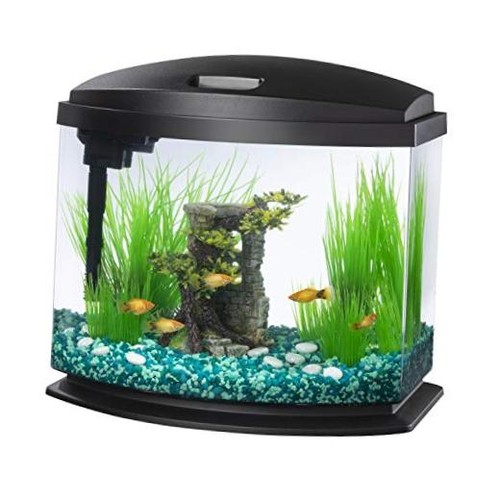 Minibow small aquarium - minibow, starter