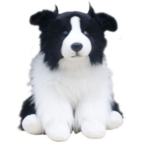 Border collie teddy - border,