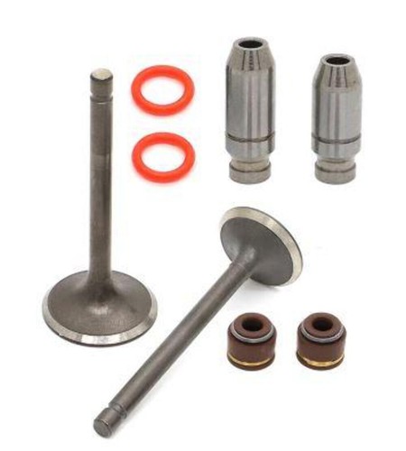 Valve intake exhaust seals - valve,