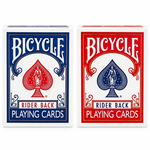 Pack bicycle rider - ​2, back