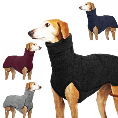 Pet dog winter high - pet, collar