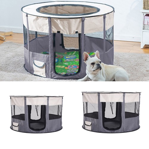 Kitten cat puppy dog - kitten, playpen