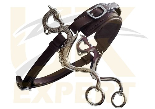 New expert polish - uk,
