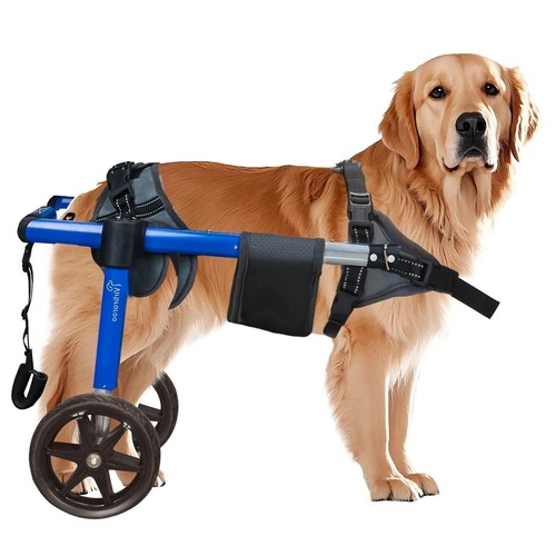 Used dog wheelchair for - for, back