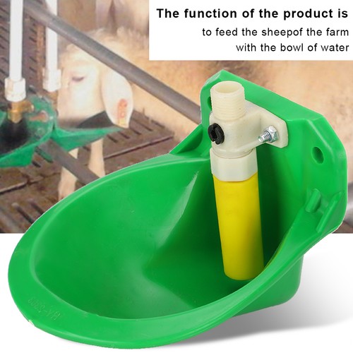 Sheep water bowls - sheep, touch