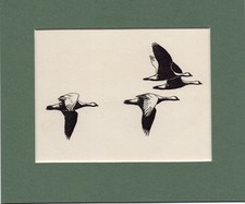 Peter Scott  ~ Flying Geese ~  Genuine Original Vintage Print 1946