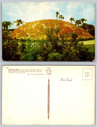 Geodesic dome tampa florida - geodesic,