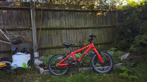 Frog red unisex bike - frog,