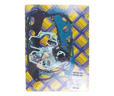 Ducati 250 350 450 Desmo -