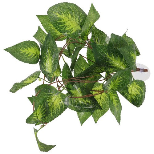 Leopard gecko plants - leopard, reptile