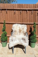 Rare Natural Sheepskin rug HERDWICK Creamy-Cool Brown 100% Natural 110 Cm +++