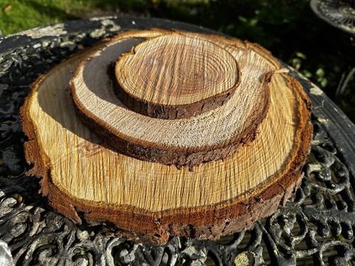 Rustic wooden log - rustic,