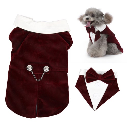 Pet wedding suit stylish - wedding,