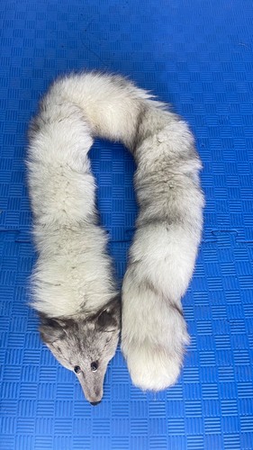 Arctic fox fur stole 123cm - fox, 2