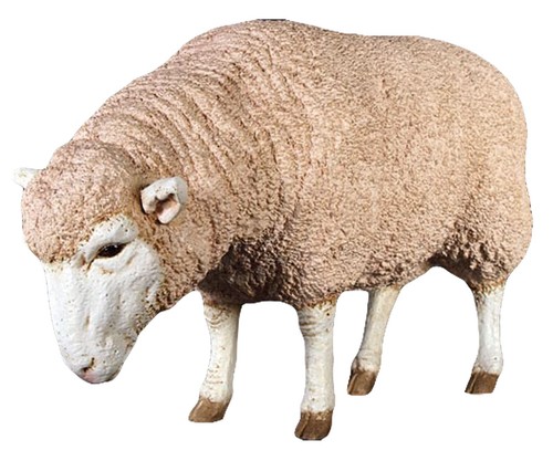 96cm life size merino ewe - 96cm,