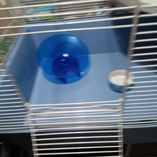 large Hamster Gerbil Cage