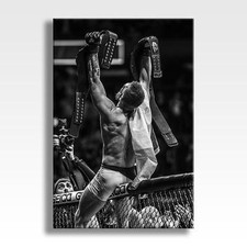 CONOR MCGREGOR CANVAS UFC 205