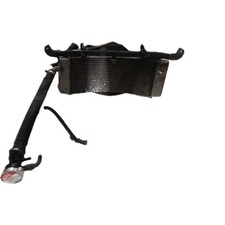 Radiator complete with tubes