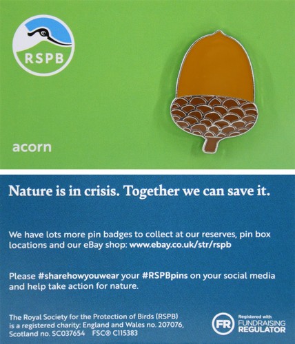 Rspb pin badge - pin, acorn