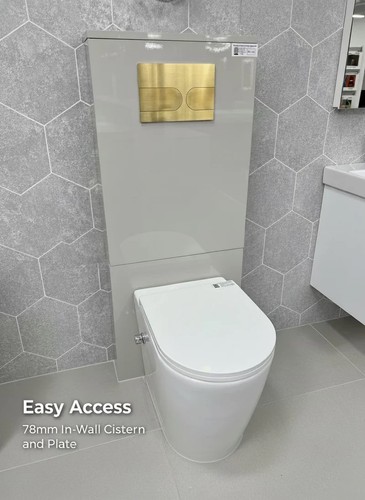 Bidet toilet back - toilet,