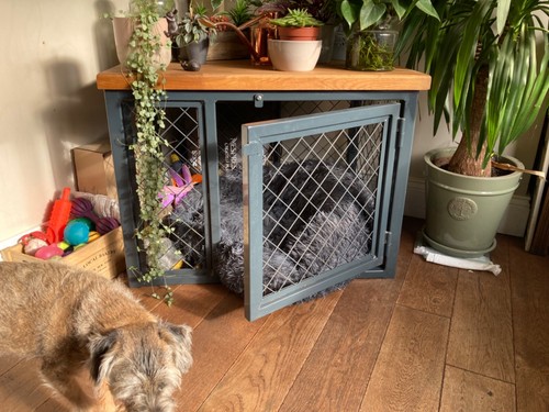 Bespoke dog cattery - dog/cattery, crates