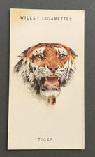 1934 Vintage Cigarette Cards