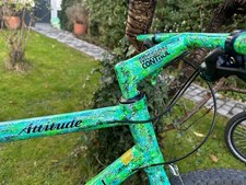 Klein Attitude Rainforest NOS