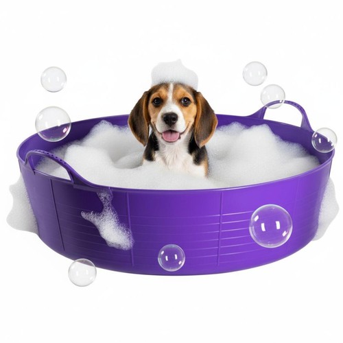 Purple dog bath paddling - dog,