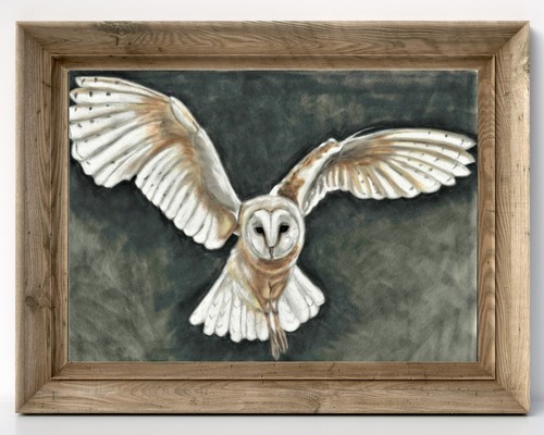 Barn owl print original - print, art