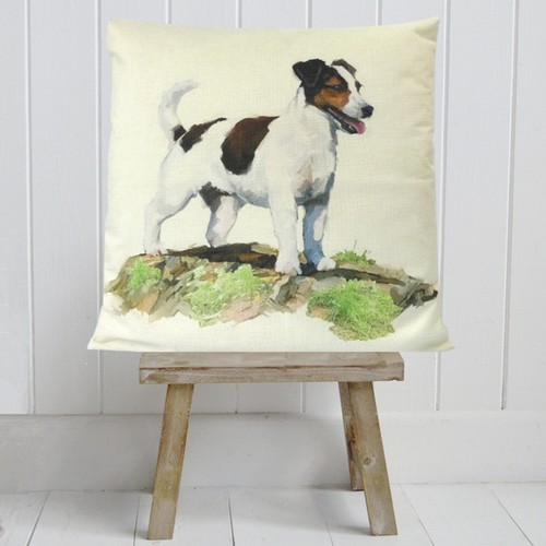 Jack russell terrier - russell,