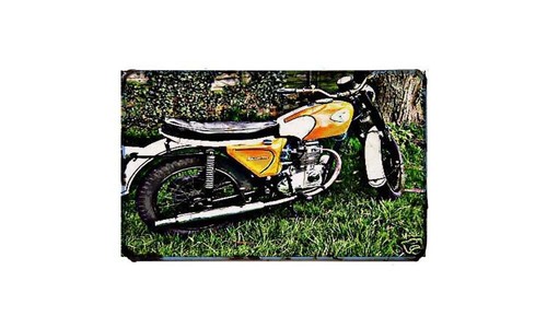 C25 barracuda motorbike - barracuda, sign