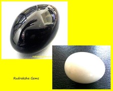 SHALIGRAM SHIVLING SHIVA LING FOSSIL STONE  MARBLE STATUE HINDU PUJA HIMALYA