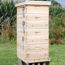 UK Langstroth Wooden Bee Hive Supply Brood Box Beekeeper Beekeeping Beehive Kits