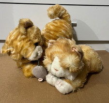 2x Ginger White Kitten Cat