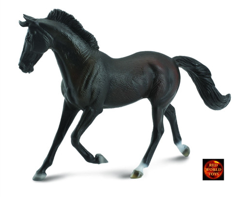 Black thoroughbred mare - black, horse